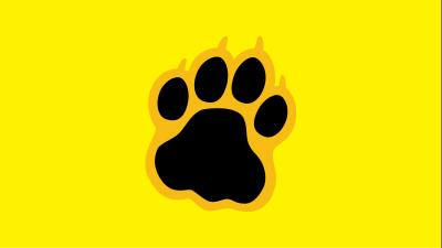 paw print on a yellow background