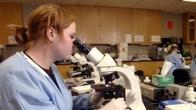 studetn using a microscope