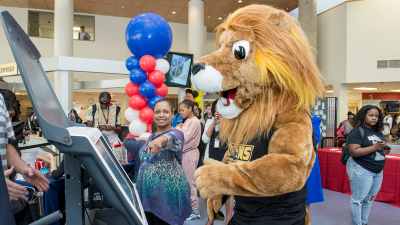 Roary working the poll booth