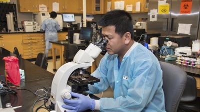 student using a microscope