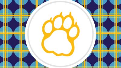 plaid with a paw print on it