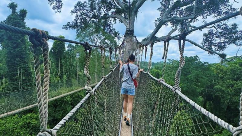 Students on a canopy tour in Ghana