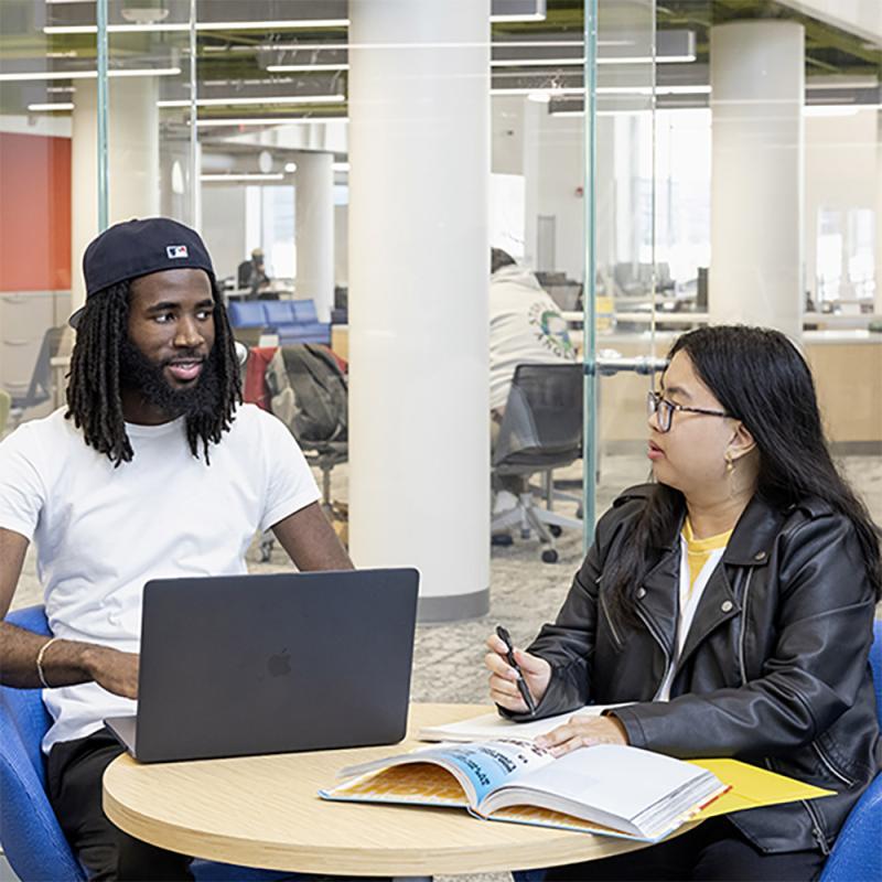 A student meets with his advisor in the College's library