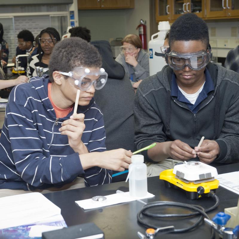 students working in a lab