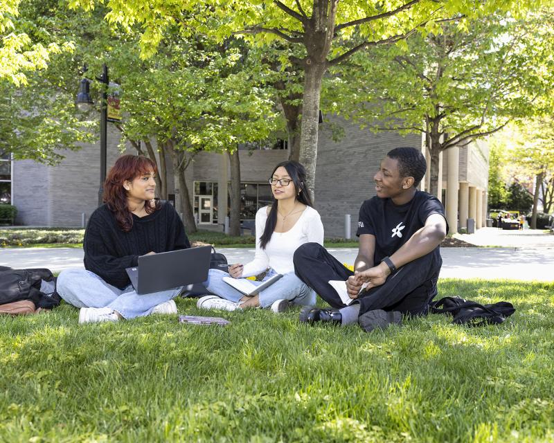 Three students sitting in the grass talk to each other.