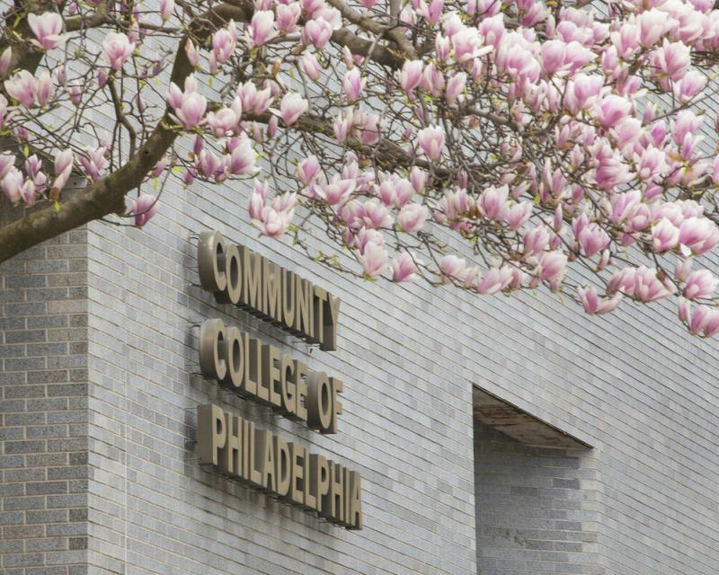 West Building on Main Campus with magnolia tree blooming in forefront