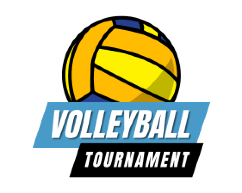 Picture of a Volleyball