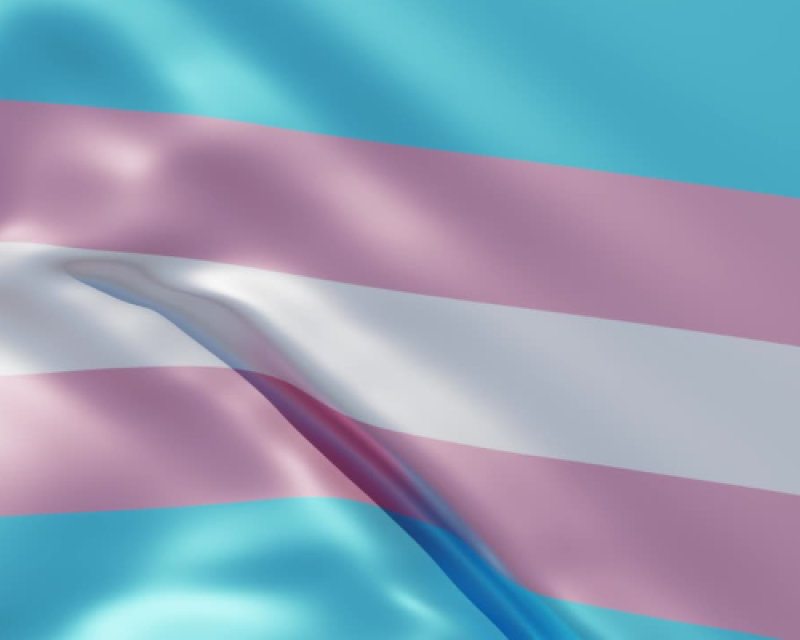 transgender flag