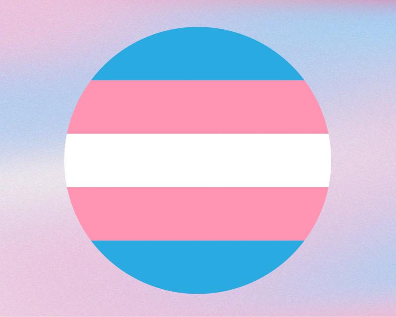 transgender flag