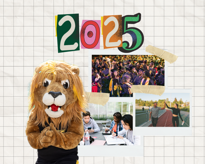 Roary on a mood board