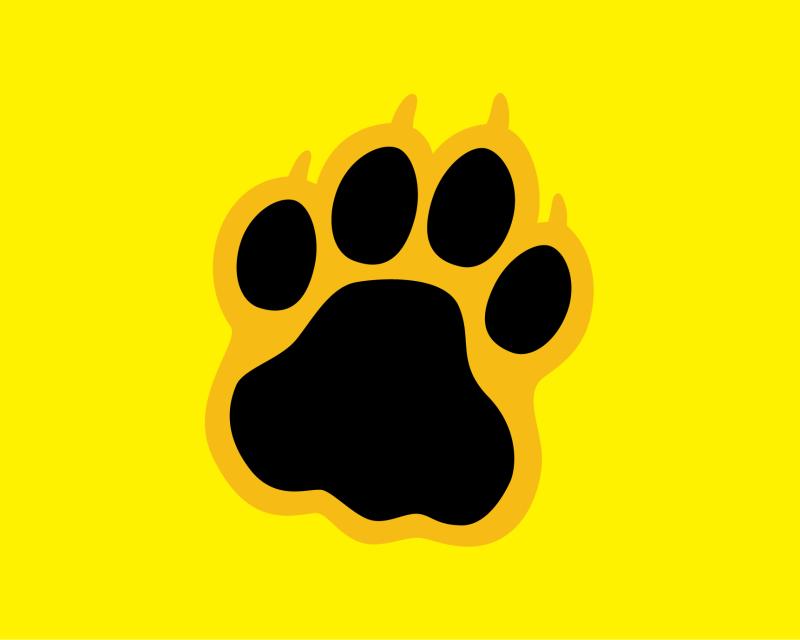 paw print on a yellow background