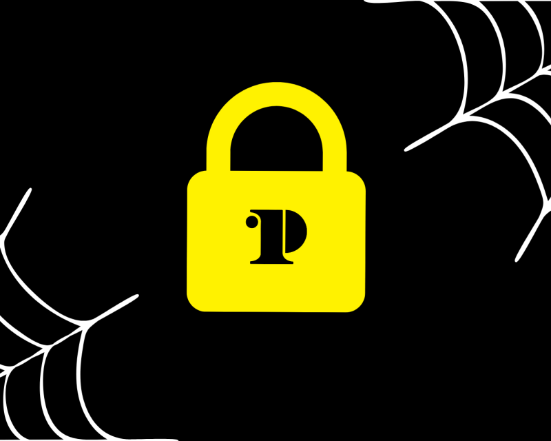 Lock, spider webs, ccp Logo