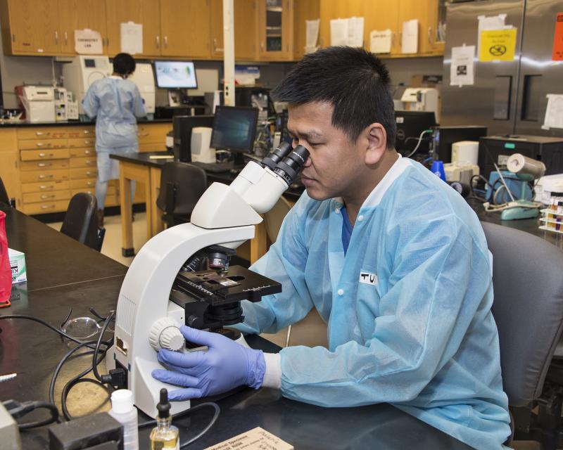 student using a microscope