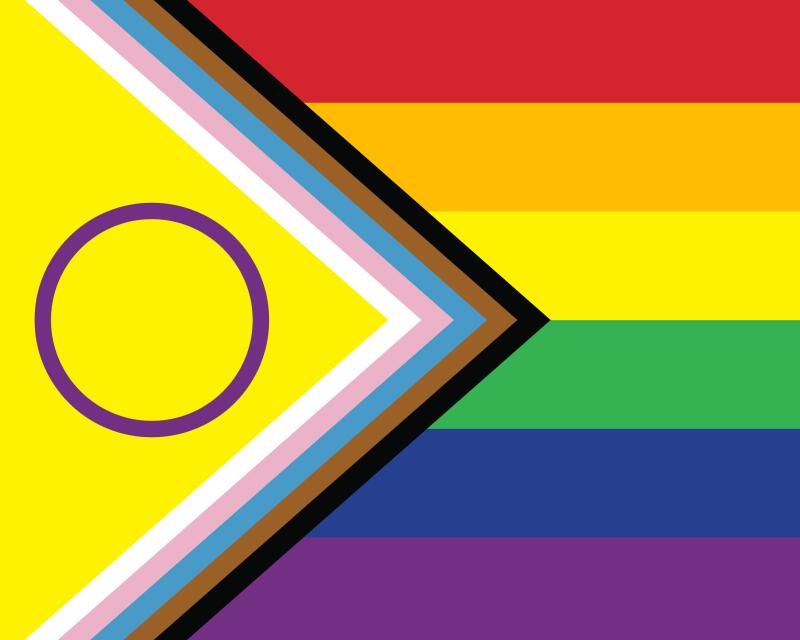LGBTQIA+ Flag