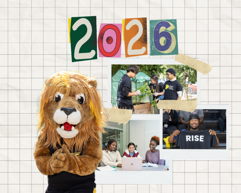 roary with a 2026 vision board