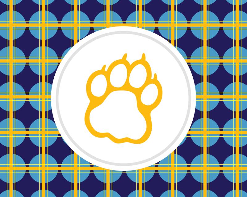 plaid with a paw print on it