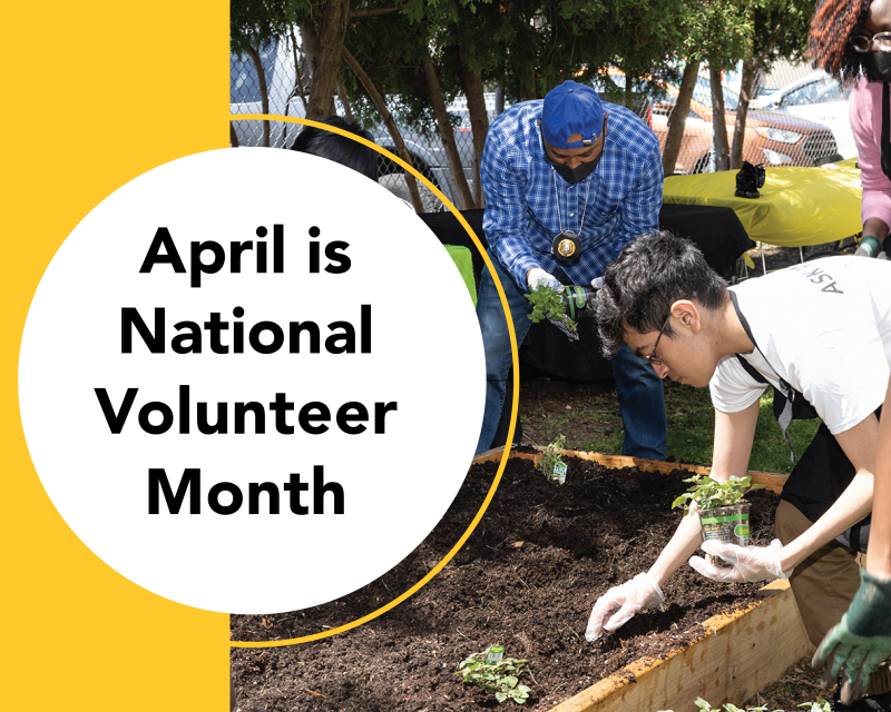Students volunteering in garden
